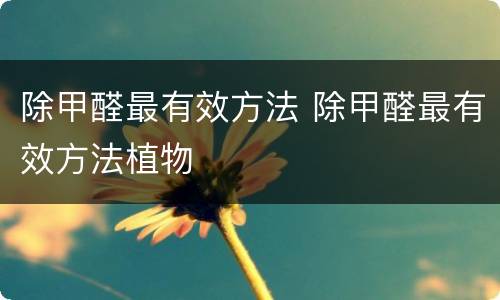 除甲醛最有效方法 除甲醛最有效方法植物