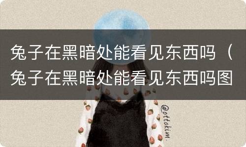 兔子在黑暗处能看见东西吗（兔子在黑暗处能看见东西吗图片）