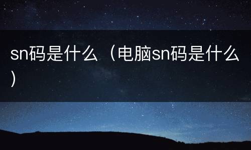 sn码是什么（电脑sn码是什么）