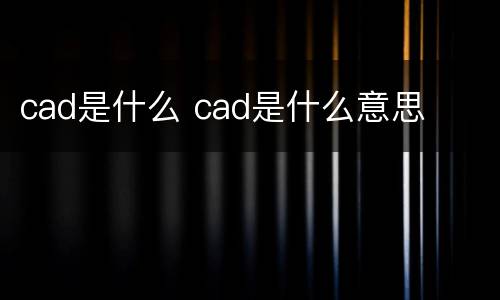 cad是什么 cad是什么意思