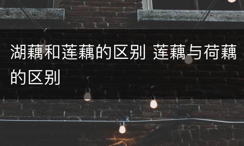 湖藕和莲藕的区别 莲藕与荷藕的区别