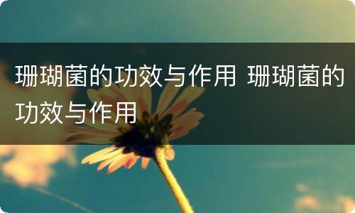 珊瑚菌的功效与作用 珊瑚菌的功效与作用