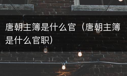 唐朝主簿是什么官（唐朝主簿是什么官职）