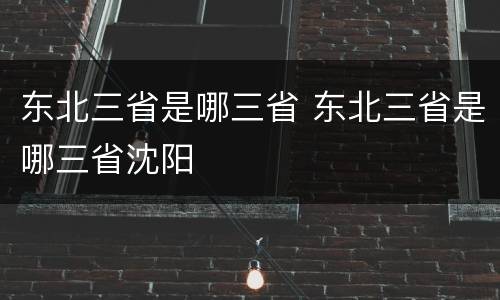 东北三省是哪三省 东北三省是哪三省沈阳