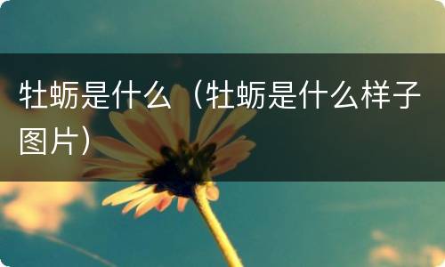 牡蛎是什么（牡蛎是什么样子图片）