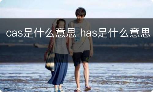 cas是什么意思 has是什么意思