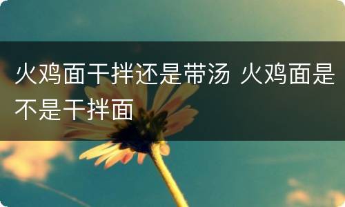 火鸡面干拌还是带汤 火鸡面是不是干拌面