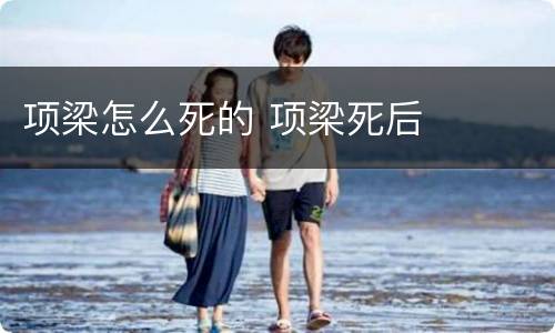 项梁怎么死的 项梁死后