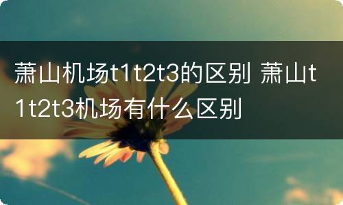 萧山机场t1t2t3的区别 萧山t1t2t3机场有什么区别