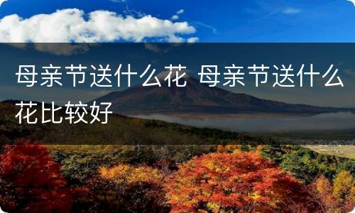 母亲节送什么花 母亲节送什么花比较好