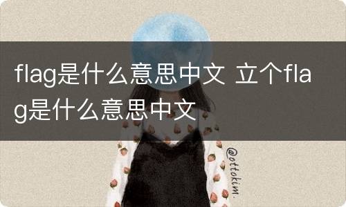 flag是什么意思中文 立个flag是什么意思中文