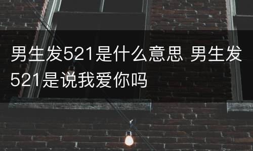 男生发521是什么意思 男生发521是说我爱你吗