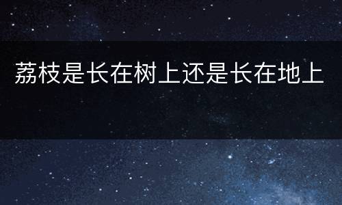 荔枝是长在树上还是长在地上