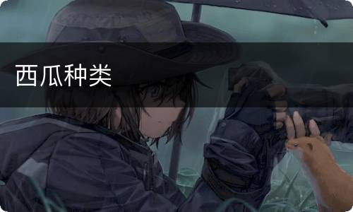 西瓜种类