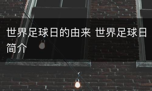 世界足球日的由来 世界足球日简介