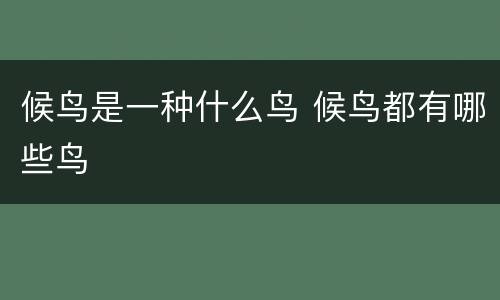 候鸟是一种什么鸟 候鸟都有哪些鸟