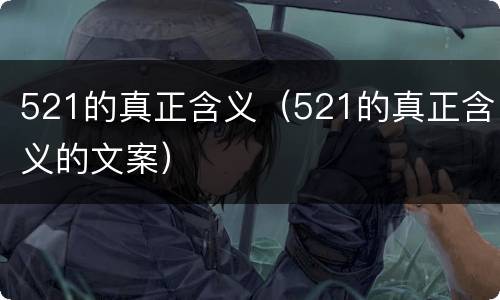521的真正含义（521的真正含义的文案）