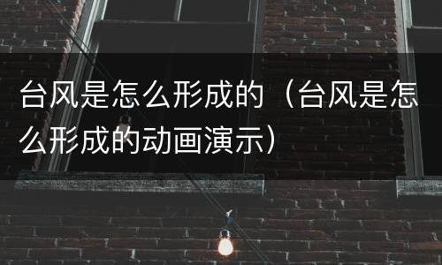 台风是怎么形成的（台风是怎么形成的动画演示）