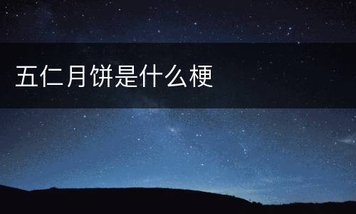 五仁月饼是什么梗