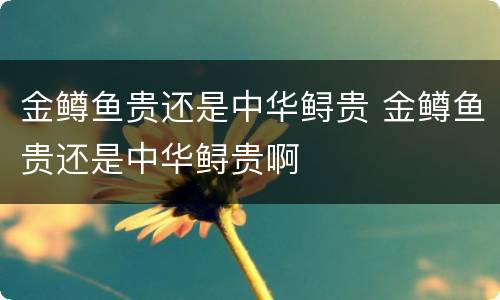 金鳟鱼贵还是中华鲟贵 金鳟鱼贵还是中华鲟贵啊