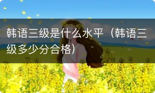 韩语三级是什么水平（韩语三级多少分合格）