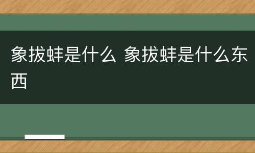 象拔蚌是什么 象拔蚌是什么东西
