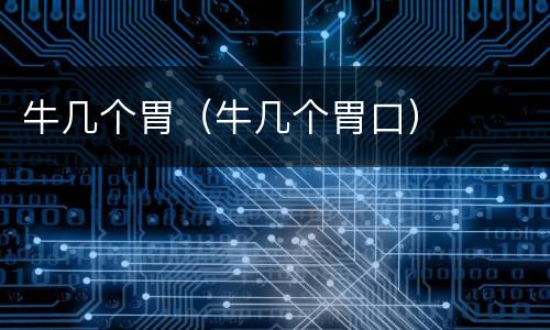 牛几个胃（牛几个胃口）