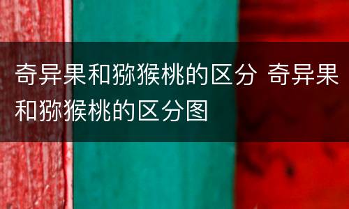 奇异果和猕猴桃的区分 奇异果和猕猴桃的区分图