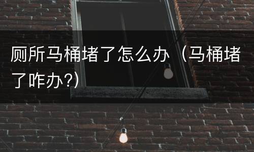厕所马桶堵了怎么办（马桶堵了咋办?）