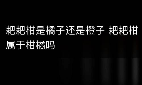 耙耙柑是橘子还是橙子 耙耙柑属于柑橘吗