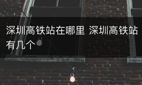 深圳高铁站在哪里 深圳高铁站有几个