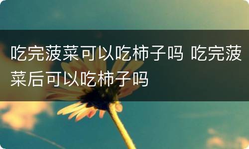 吃完菠菜可以吃柿子吗 吃完菠菜后可以吃柿子吗