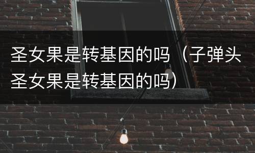 圣女果是转基因的吗（子弹头圣女果是转基因的吗）