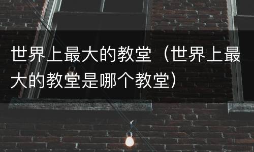 世界上最大的教堂（世界上最大的教堂是哪个教堂）