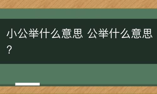 小公举什么意思 公举什么意思?