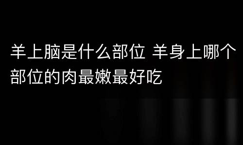 羊上脑是什么部位 羊身上哪个部位的肉最嫩最好吃