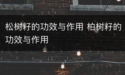 松树籽的功效与作用 柏树籽的功效与作用