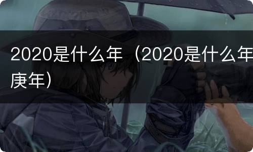 2020是什么年（2020是什么年庚年）