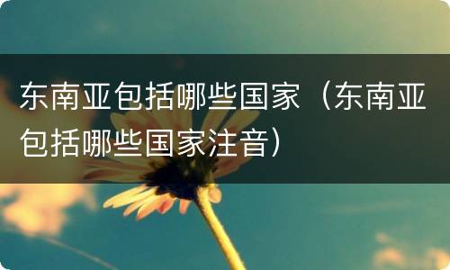 东南亚包括哪些国家（东南亚包括哪些国家注音）