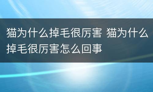 猫为什么掉毛很厉害 猫为什么掉毛很厉害怎么回事