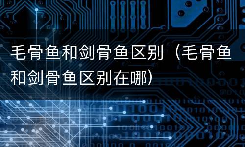 毛骨鱼和剑骨鱼区别（毛骨鱼和剑骨鱼区别在哪）