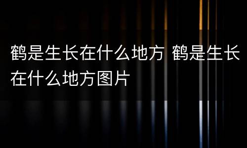 鹤是生长在什么地方 鹤是生长在什么地方图片