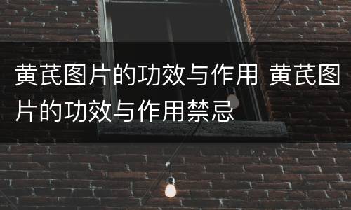 黄芪图片的功效与作用 黄芪图片的功效与作用禁忌