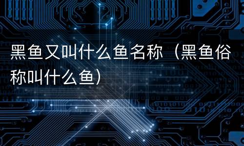 黑鱼又叫什么鱼名称（黑鱼俗称叫什么鱼）