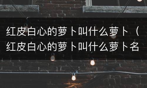 红皮白心的萝卜叫什么萝卜（红皮白心的萝卜叫什么萝卜名字）