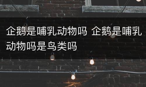 企鹅是哺乳动物吗 企鹅是哺乳动物吗是鸟类吗