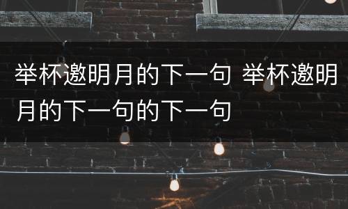 举杯邀明月的下一句 举杯邀明月的下一句的下一句