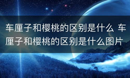 车厘子和樱桃的区别是什么 车厘子和樱桃的区别是什么图片