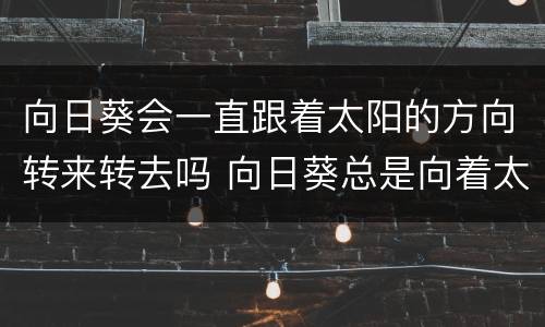 向日葵会一直跟着太阳的方向转来转去吗 向日葵总是向着太阳转吗