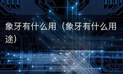 象牙有什么用（象牙有什么用途）